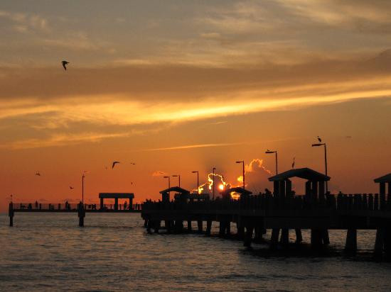 Add to Cart - Clearwater Beach Excursions